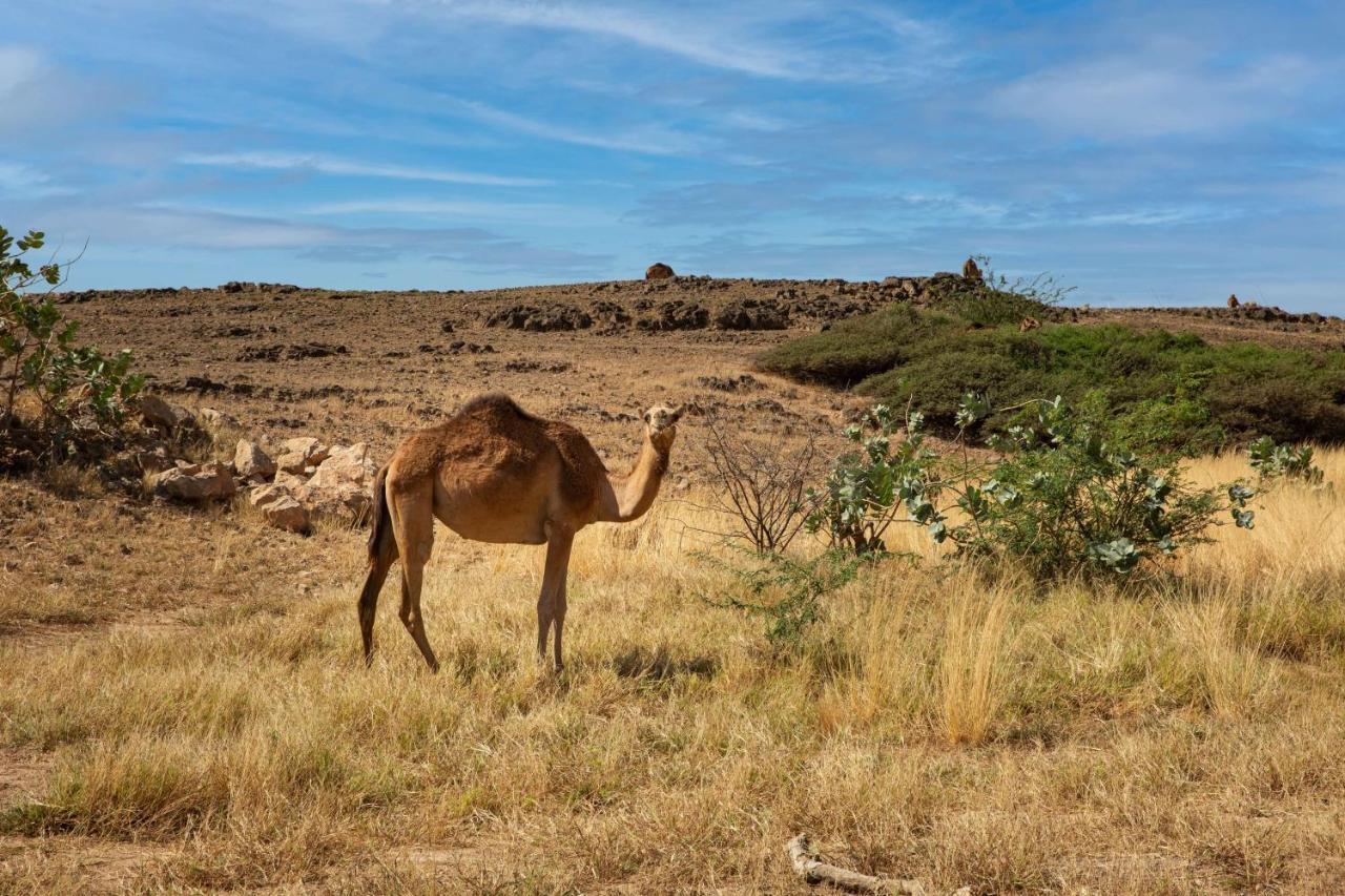 Alila Hinu Bay Salalah Mirbat Ξενοδοχείο Εξωτερικό φωτογραφία